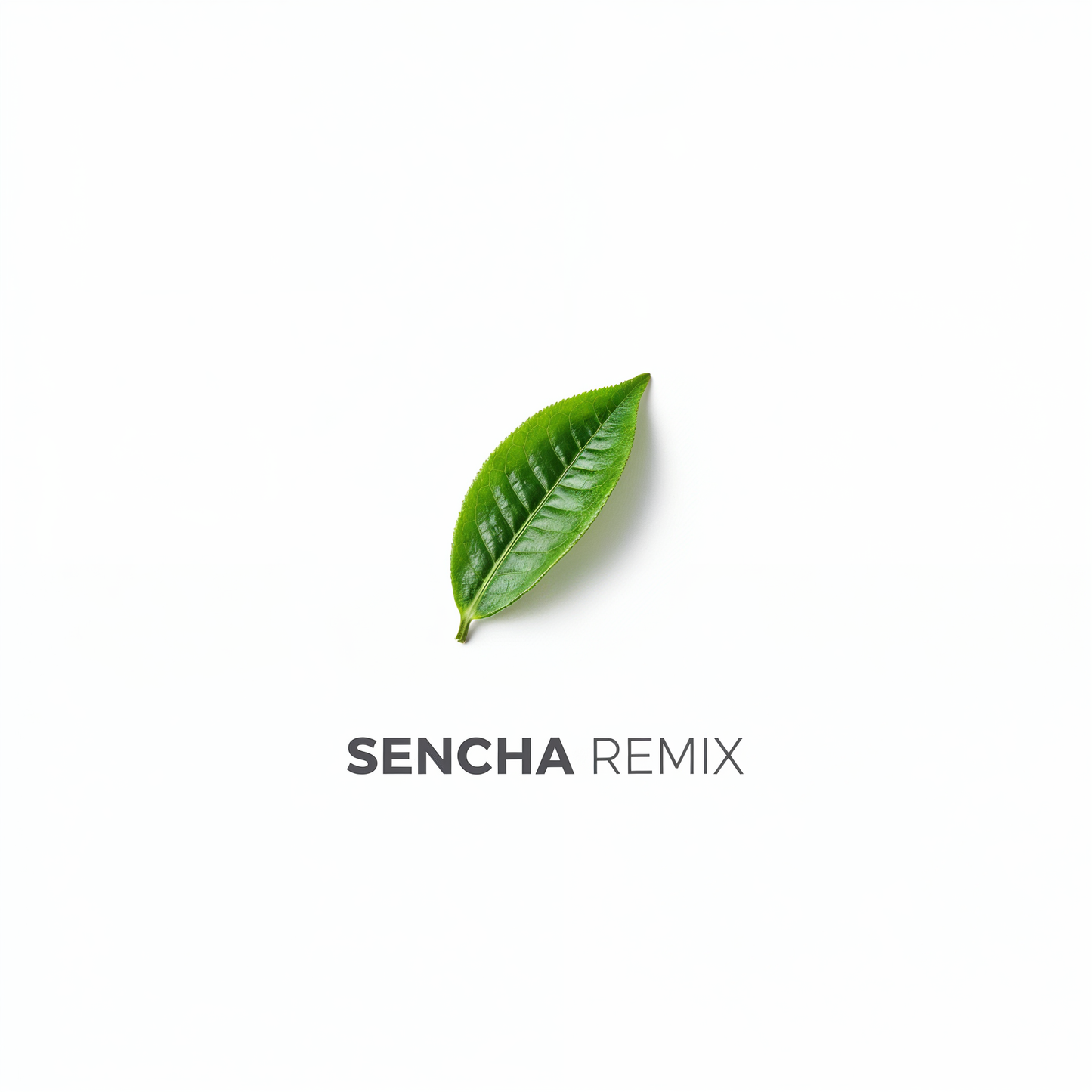 Sencha Remix